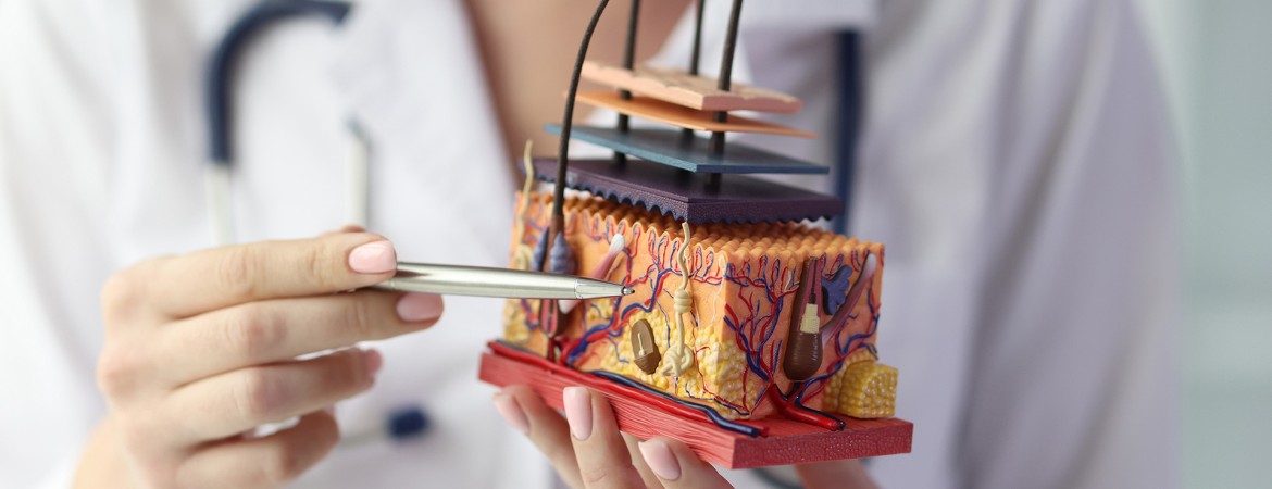 The Non-Surgical Cosmetology Program